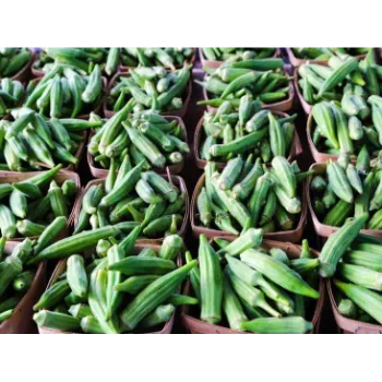 Lady Finger (33)-7696720-64375.webp